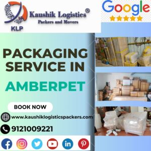 Packers and Movers In Amberpet