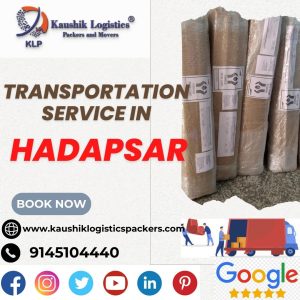 Packers and Movers In Hadapsar