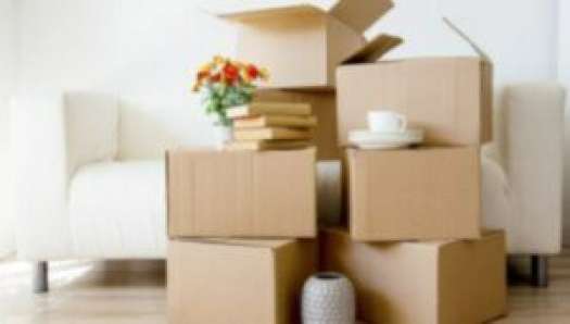 Packers and Movers in cuffe-parade