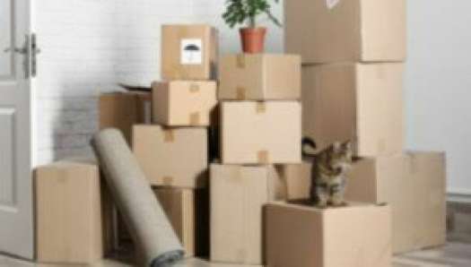 Packers and Movers in dadar-east