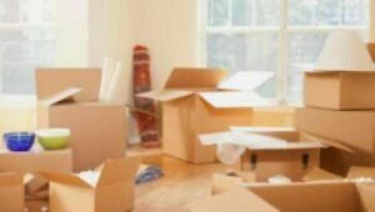 Packers and Movers in sector-1